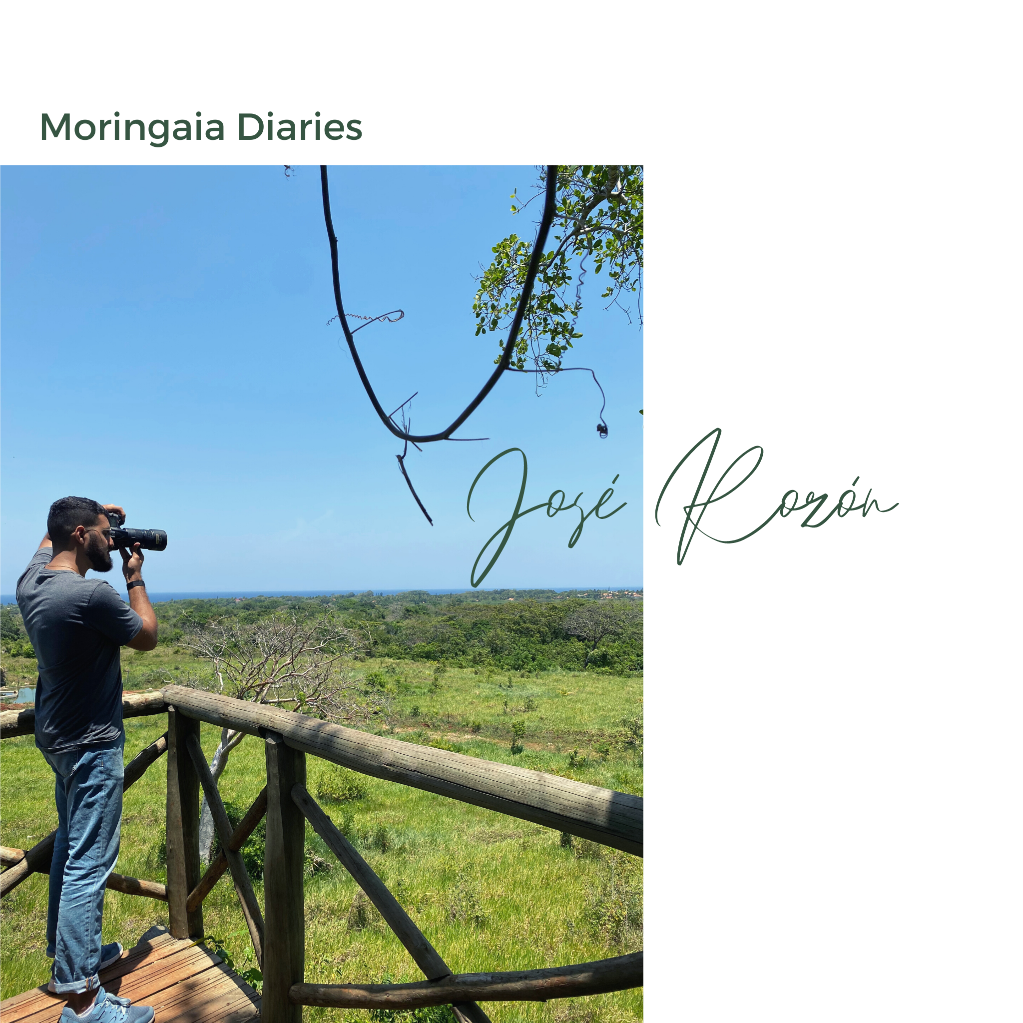 Capturing Caribbean Landscapes with José Rozón