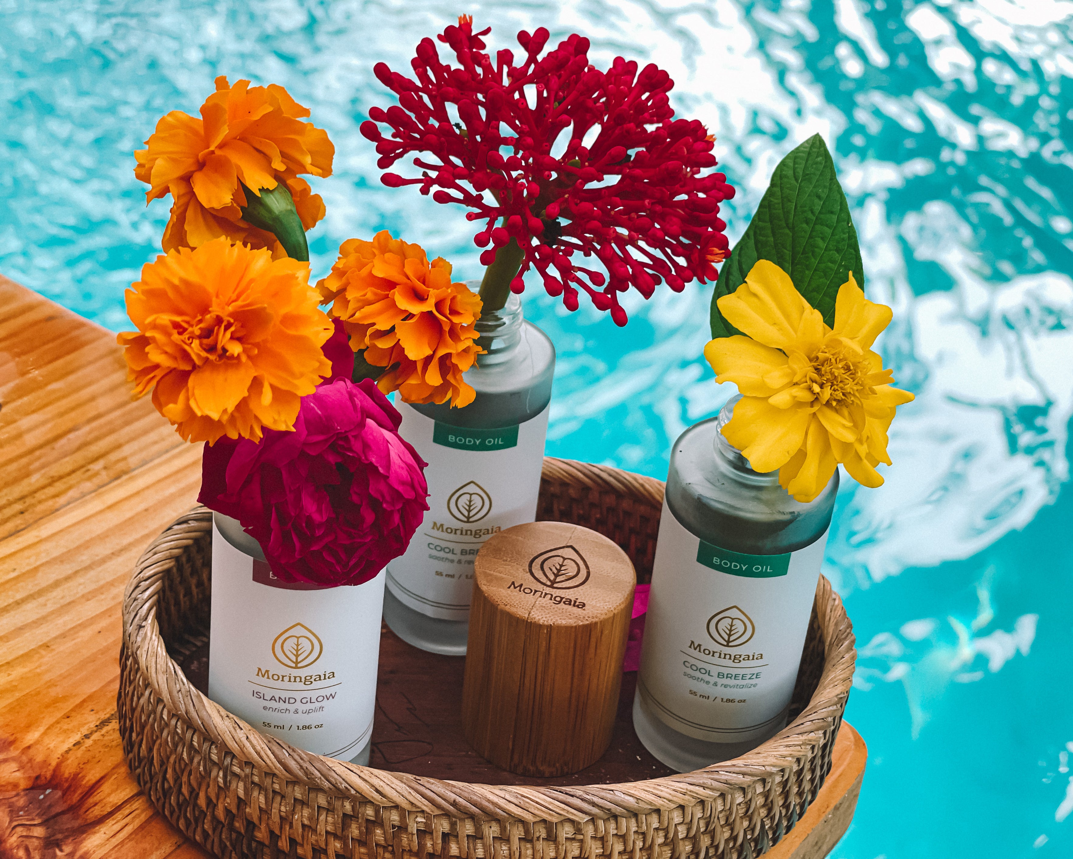 How  to Upcycle Moringaia Beauty Packaging