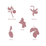 Island Glow Body Oil