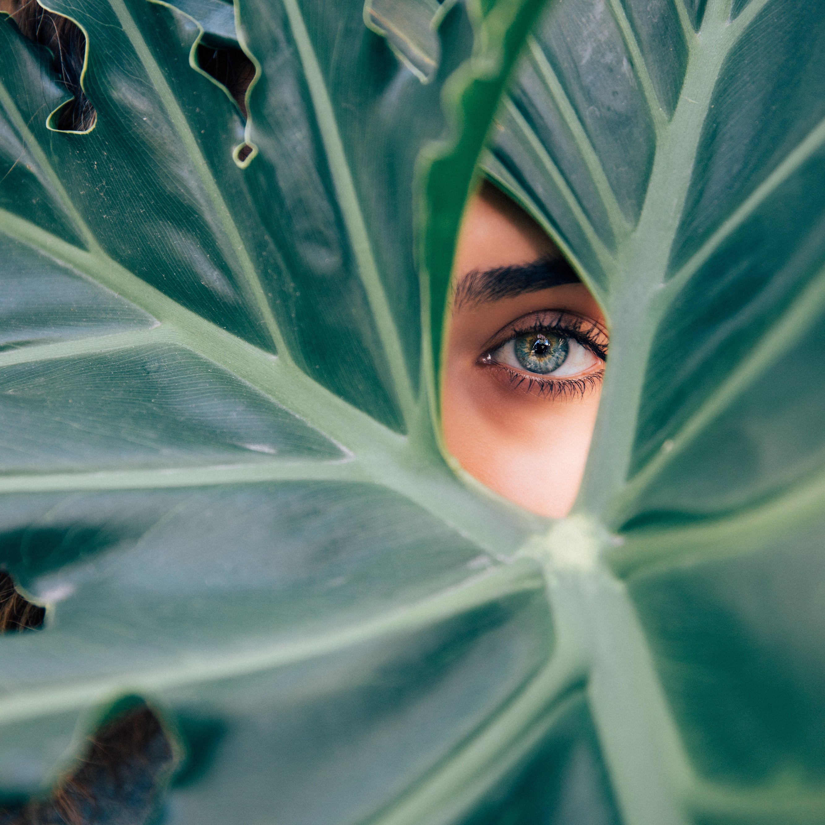 Why You Should Be Able To Pronounce The Ingredients In Your Beauty Products