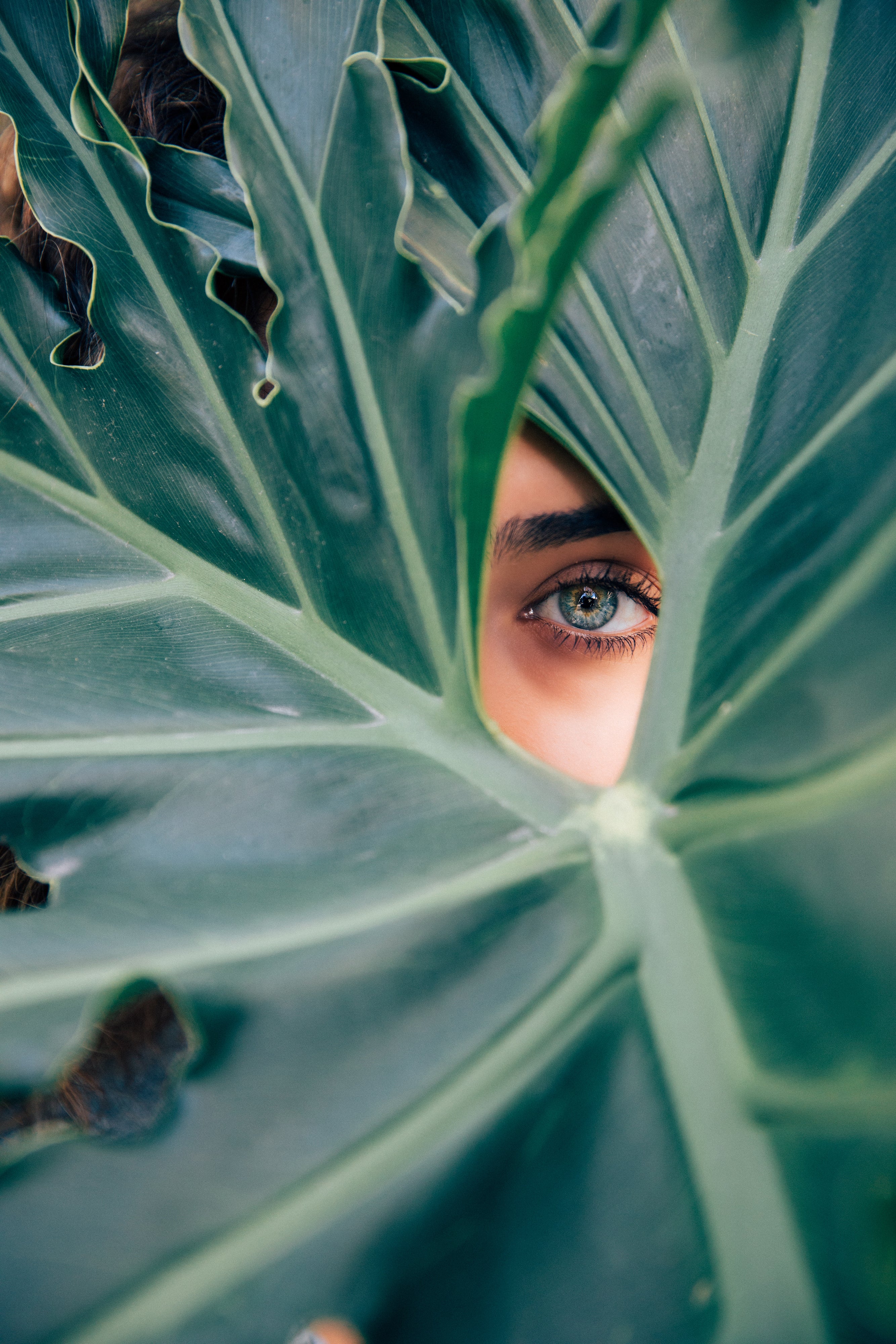Why You Should Be Able To Pronounce The Ingredients In Your Beauty Products